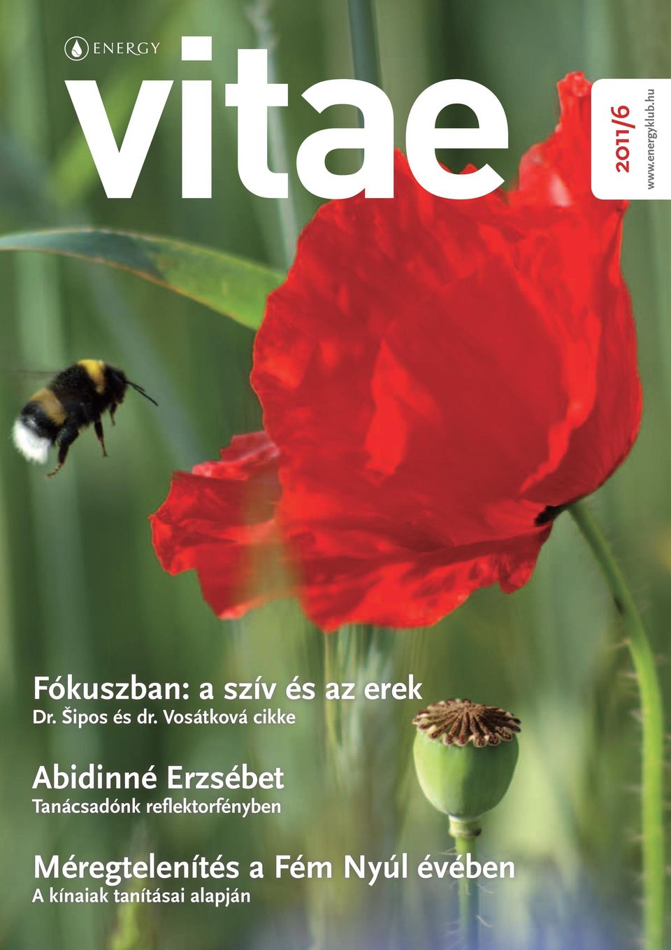 Vosátková cikke Abidinné Erzsébet Tanácsadónk