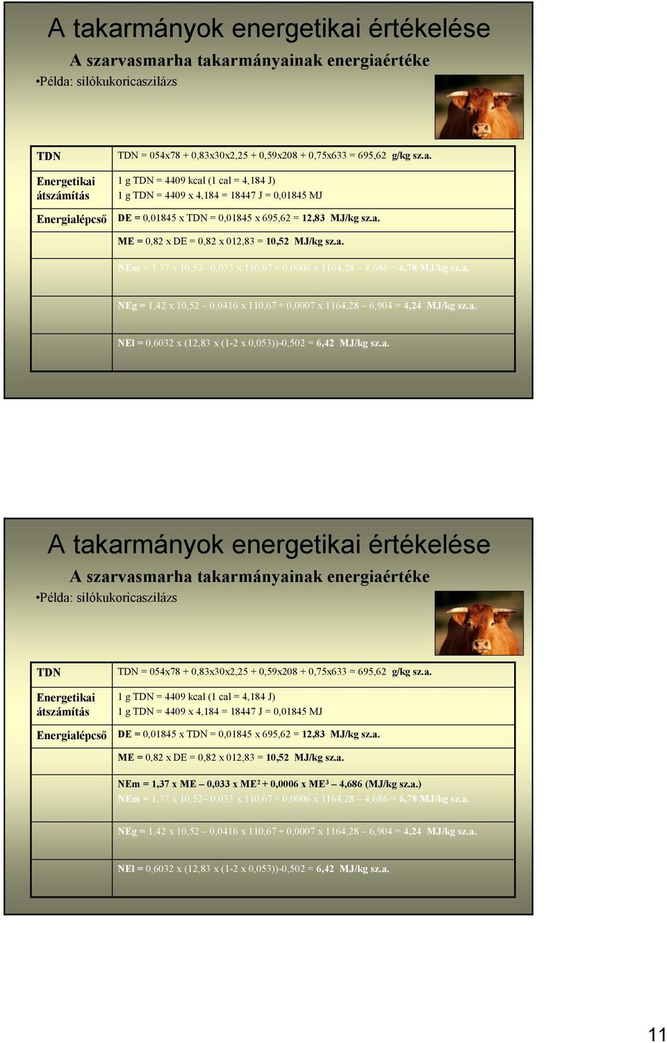 a. DE = 0,01845 x = 0,01845 x 695,62 = 12,83 MJ/kg sz.a. 11