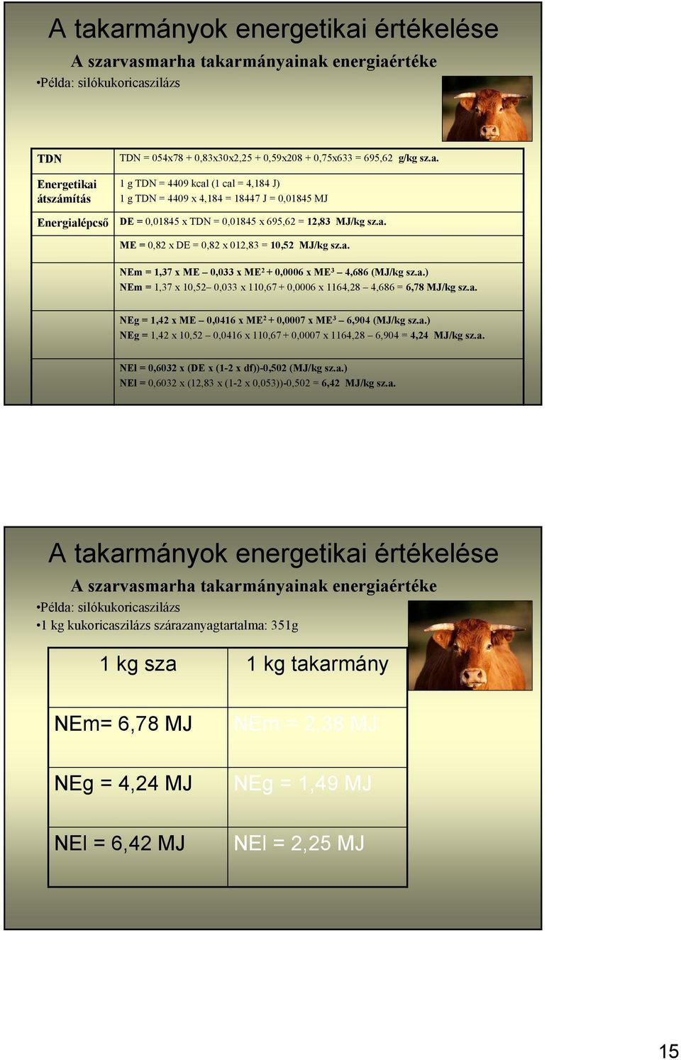 NEg = 1,42 x ME 0,0416 x ME 2 + 0,0007 x ME 3 6,904 (MJ/kg sz.a.