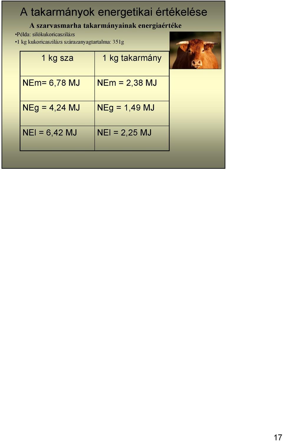 kg takarmány NEm= 6,78 MJ NEm = 2,38