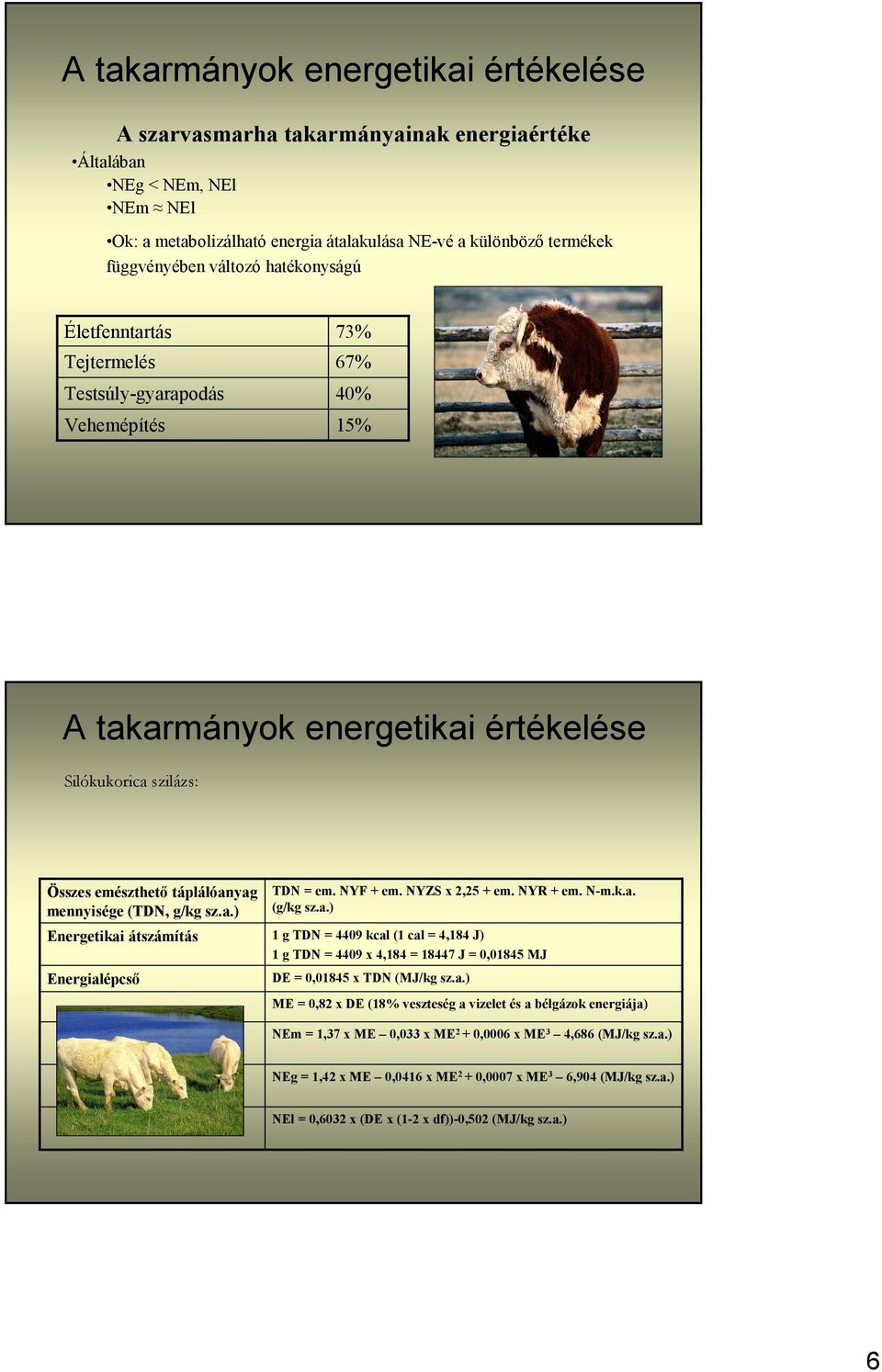g/kg sz.a.) = em. NYF + em. NYZS x 2,25 + em. NYR + em. N-m.k.a. (g/kg sz.a.) DE = 0,01845 x (MJ/kg sz.a.) ME = 0,82 x DE (18% veszteség a vizelet és a bélgázok energiája) NEg = 1,42 x ME 0,0416 x ME 2 + 0,0007 x ME 3 6,904 (MJ/kg sz.