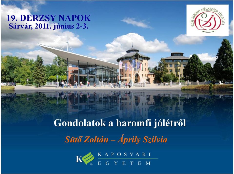 Gondolatok a baromfi