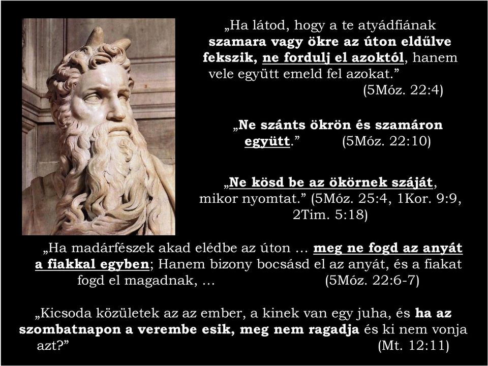 5:18) Ha madárfészek akad elédbe az úton meg ne fogd az anyát a fiakkal egyben; Hanem bizony bocsásd el az anyát, és a fiakat fogd el