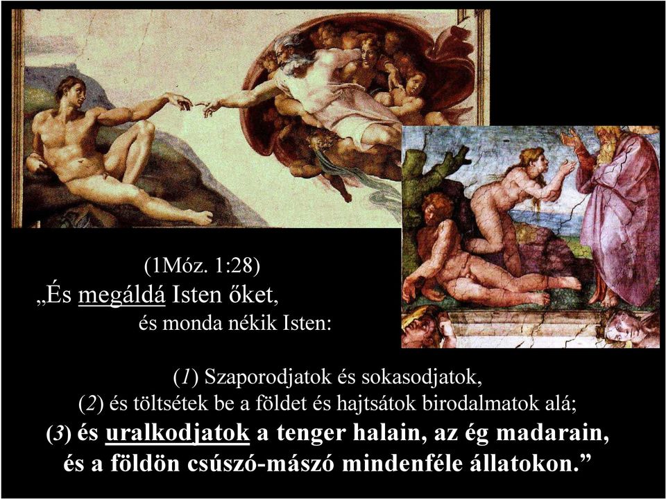 Szaporodjatok és sokasodjatok, (2) és töltsétek be a földet és