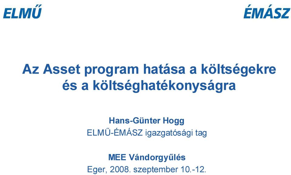 Hogg ELMŰ-ÉMÁSZ igazgatósági tag MEE