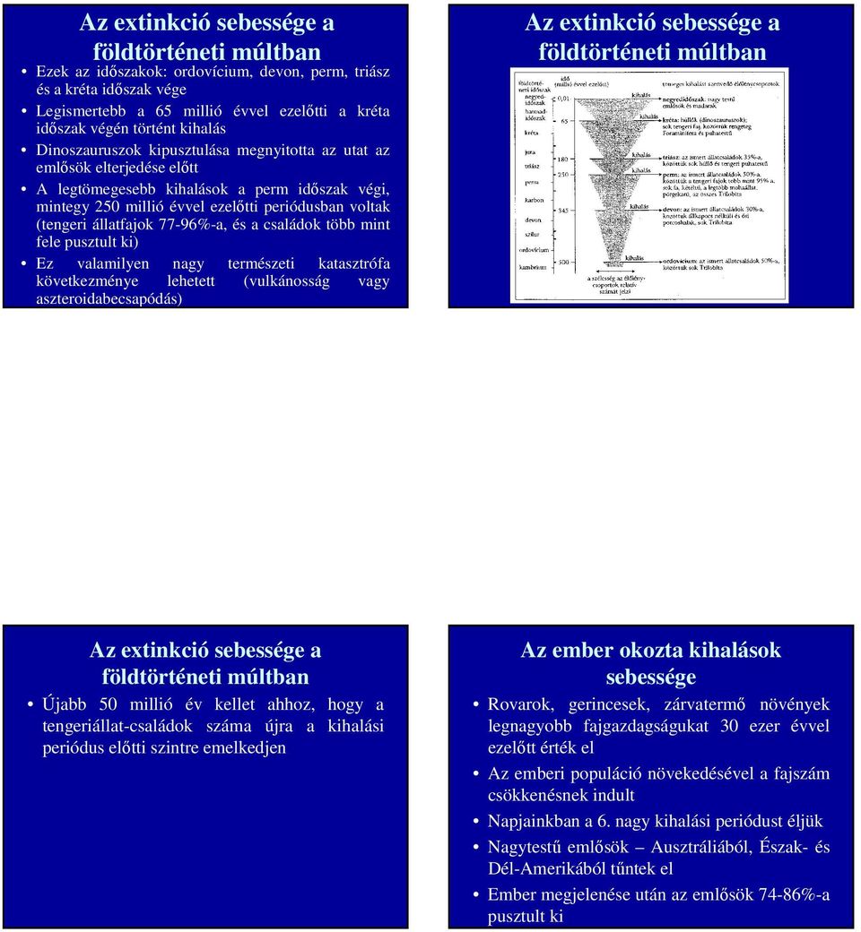 77-96%-a, és a családok több mint fele pusztult ki) Ez valamilyen nagy természeti katasztrófa következménye lehetett (vulkánosság vagy aszteroidabecsapódás) Az extinkció sebessége a földtörténeti