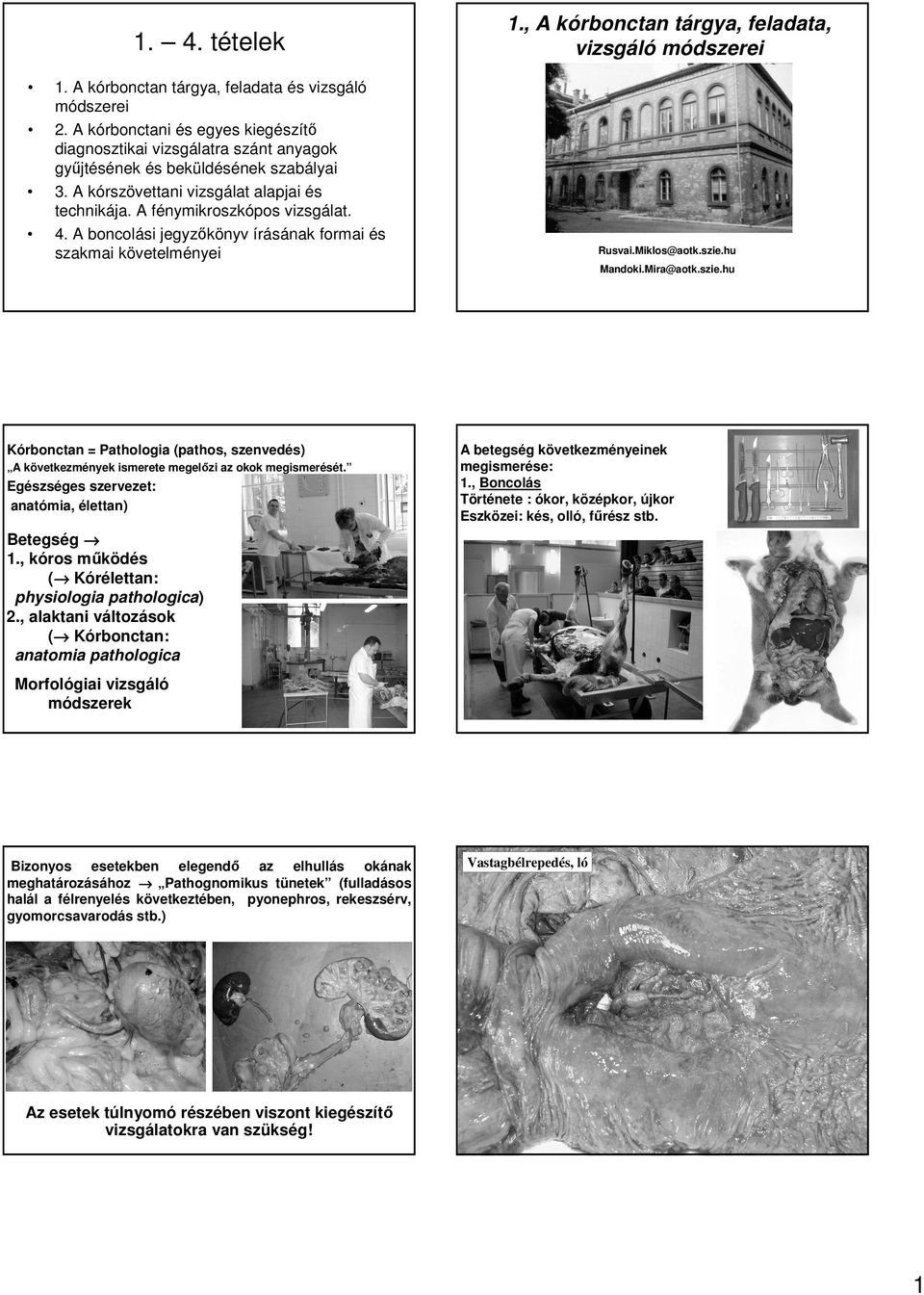 A boncolási jegyzıkönyv írásának formai és szakmai követelményei Rusvai.Miklos@aotk.szie.hu Mandoki.Mira@aotk.szie.hu Kórbonctan = Pathologia (pathos, szenvedés) A következmények ismerete megelızi az okok megismerését.