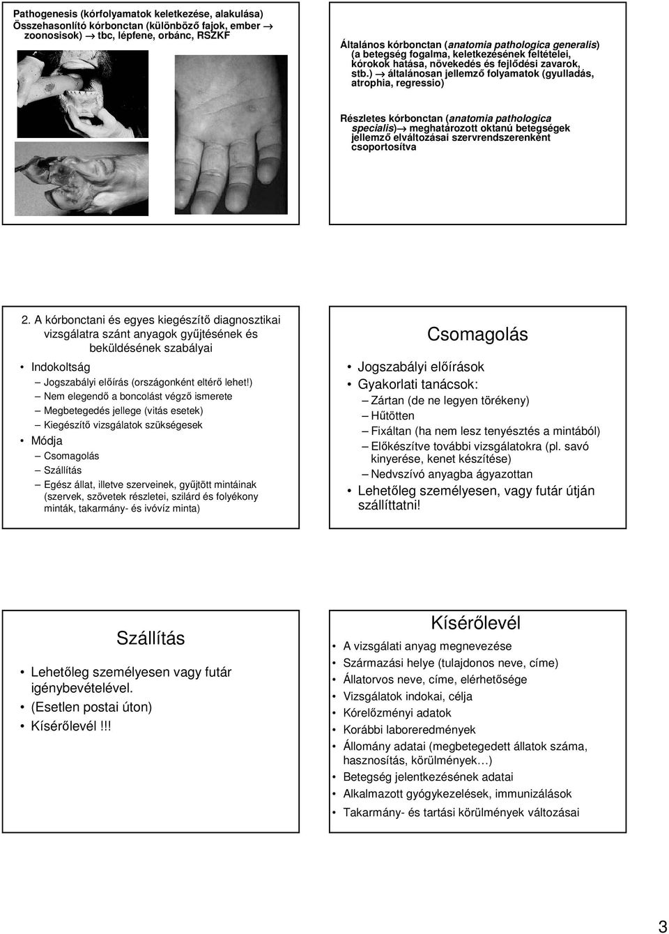 ) általánosan jellemzı folyamatok (gyulladás, atrophia, regressio) Részletes kórbonctan (anatomia pathologica specialis) meghatározott oktanú betegségek jellemzı elváltozásai szervrendszerenként