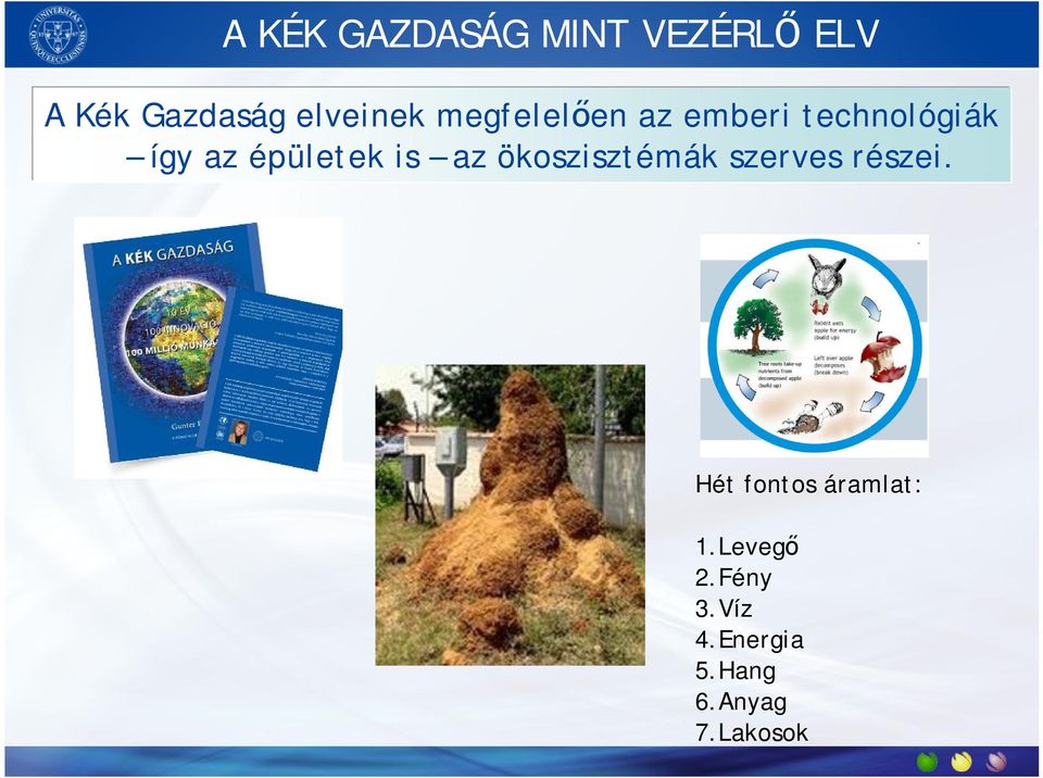 épületek is az ökoszisztémák szerves részei.