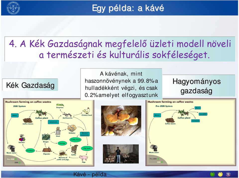 kulturális sokféleséget.