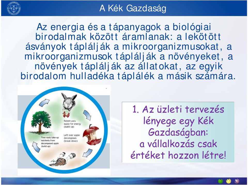 növényeket, a növények táplálják az állatokat, az egyik birodalom hulladéka táplálék a