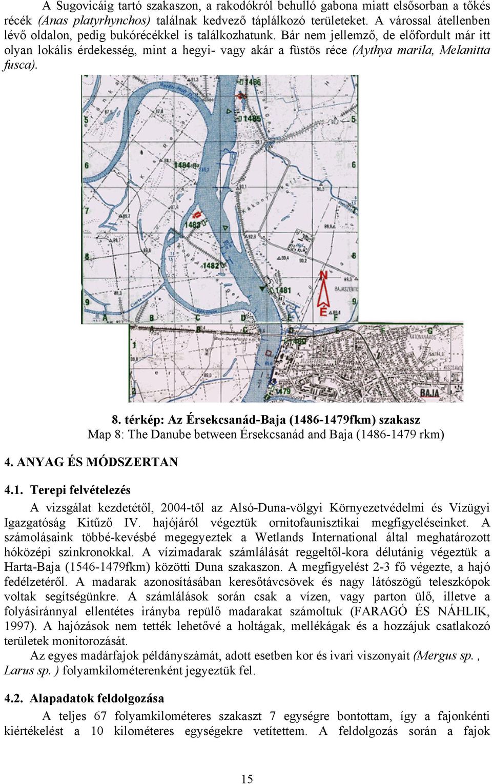 Bár nem jellemző, de előfordult már itt olyan lokális érdekesség, mint a hegyi- vagy akár a füstös réce (Aythya marila, Melanitta fusca). 8.