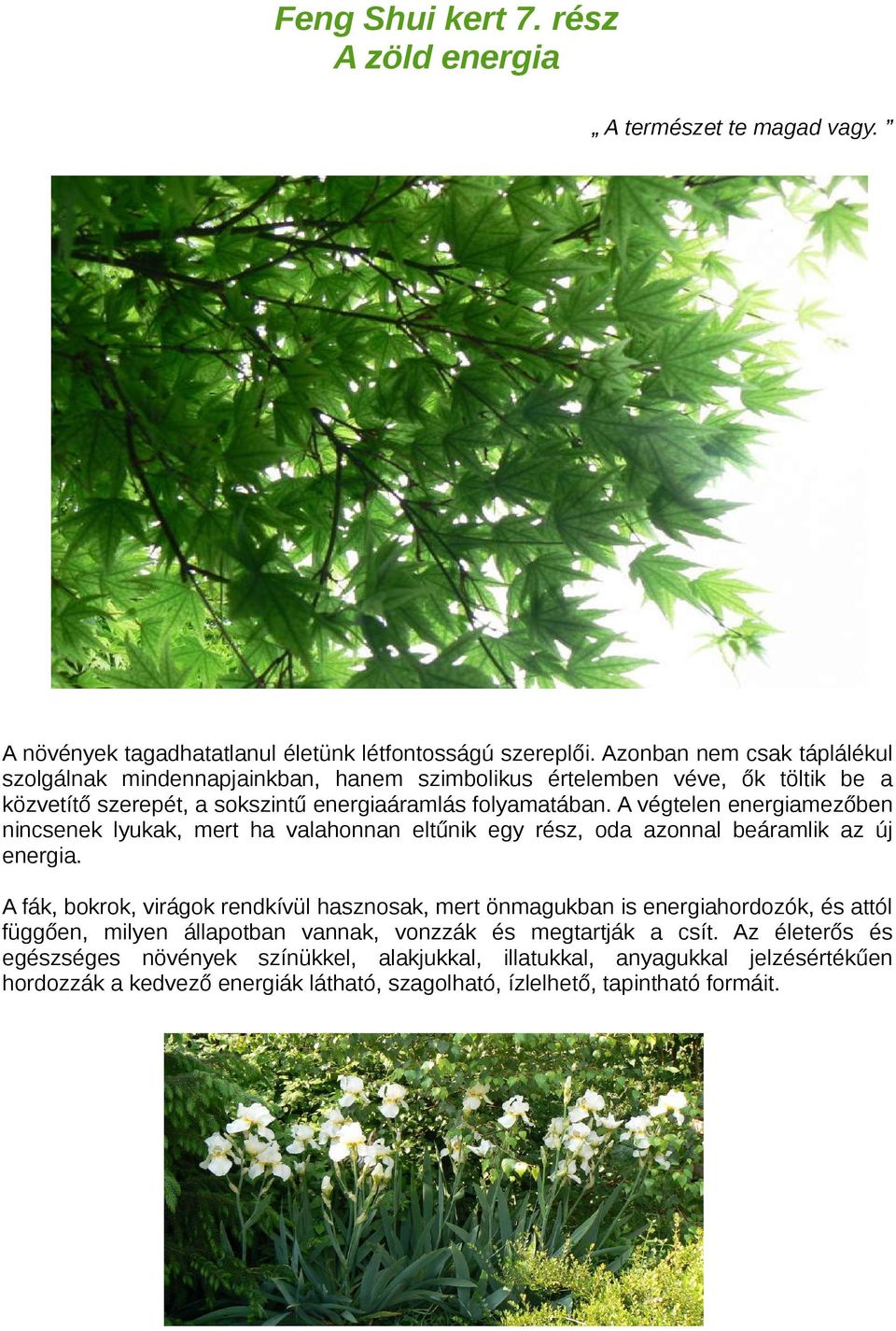 Feng Shui kert 7. rész A zöld energia - PDF Free Download