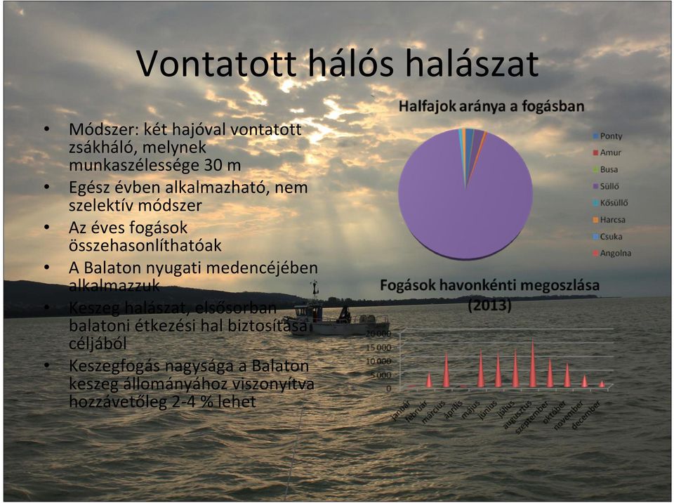 nyugati medencéjében alkalmazzuk Keszeg halászat, elsősorban balatoni étkezési hal biztosítása