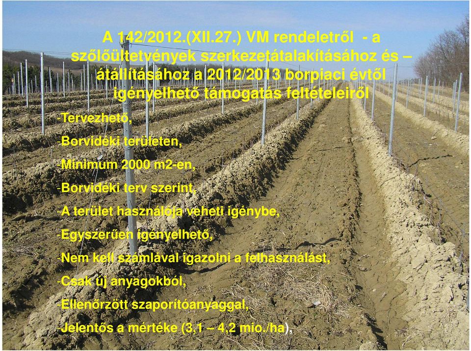 igényelhető támogatás feltételeiről -Tervezhető, -Borvidéki területen, -Minimum 2000 m2-en, -Borvidéki terv