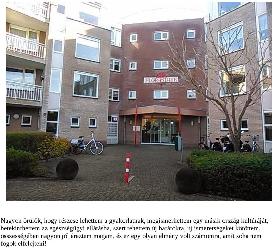tehettem új barátokra, új ismeretségeket kötöttem, összességében nagyon jól