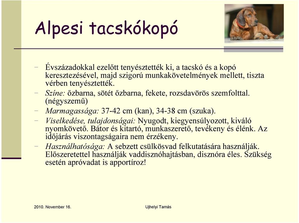 Viselkedése, tulajdonságai: Nyugodt, kiegyensúlyozott, kiváló nyomkövető. Bátor és kitartó, munkaszerető, tevékeny és élénk.