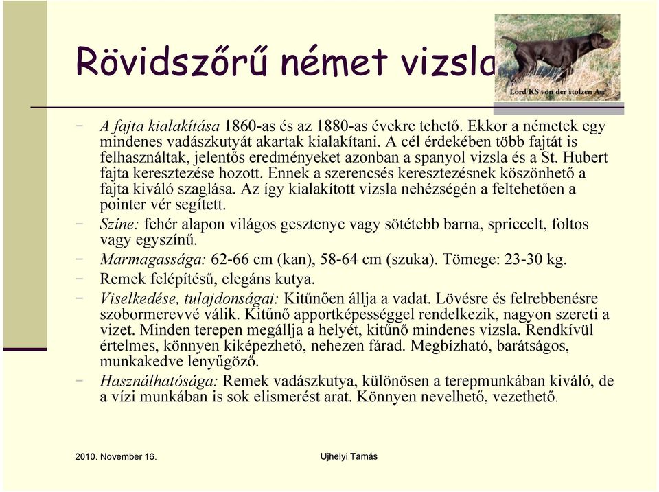 Ennek a szerencsés keresztezésnek köszönhető a fajta kiváló szaglása. Az így kialakított vizsla nehézségén a feltehetően a pointer vér segített.