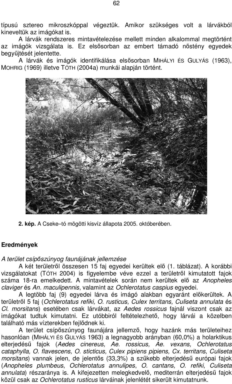 2. kép. A Cseke tó mögötti kisvíz állapota 2005. októberében. Eredmények A terület csípıszúnyog faunájának jellemzése A két területrıl összesen 15 faj egyedei kerültek elı (1. táblázat).
