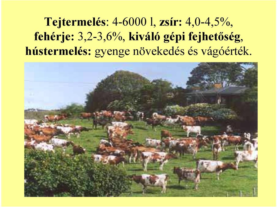 kiváló gépi fejhetőség,