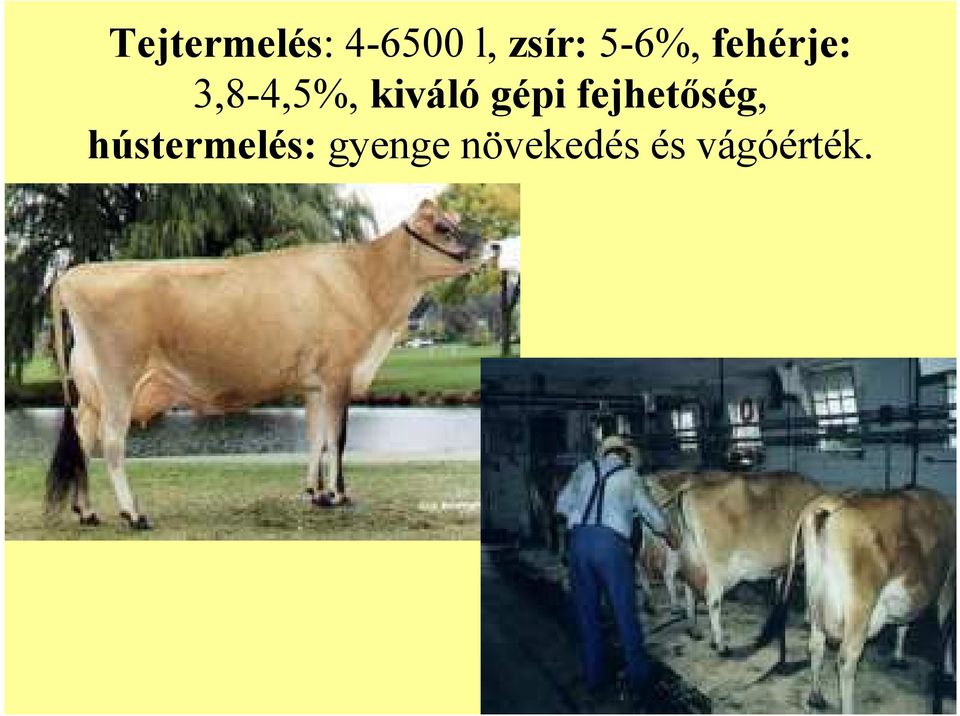 kiváló gépi fejhetőség,