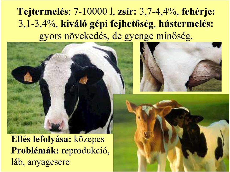 gyors növekedés, de gyenge minőség.