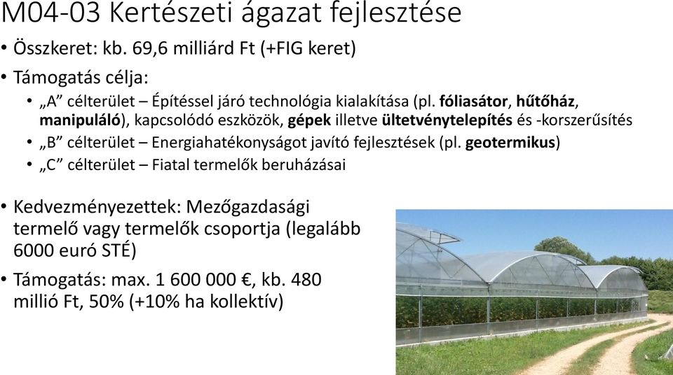 fóliasátor, hűtőház, manipuláló), kapcsolódó eszközök, gépek illetve ültetvénytelepítés és -korszerűsítés B célterület