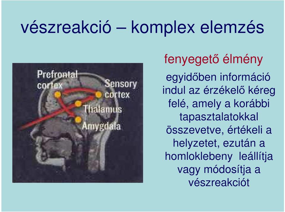 korábbi tapasztalatokkal összevetve, értékeli a