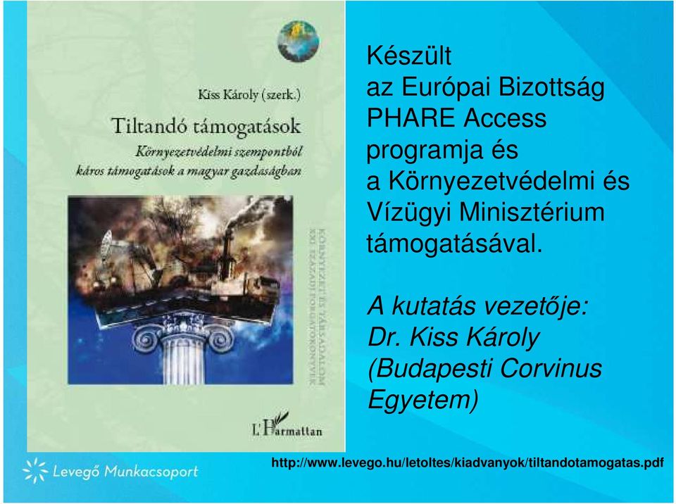 A kutatás vezetıje: Dr.