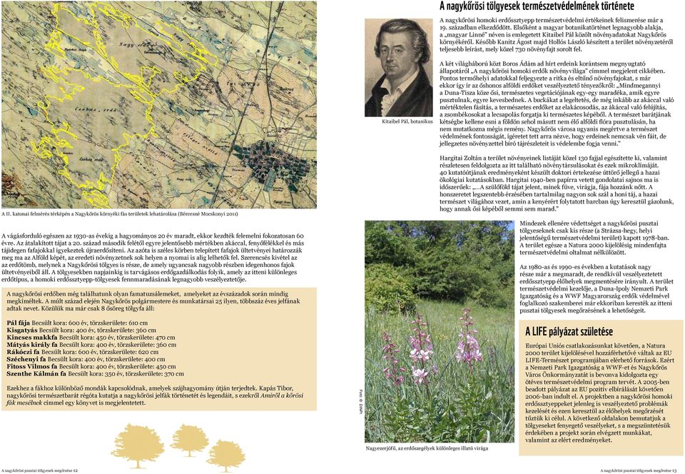 Később Kanitz Ágost majd Hollós László készített a terület növényzetéről teljesebb leírást, mely közel 730 növényfajt sorolt fel.