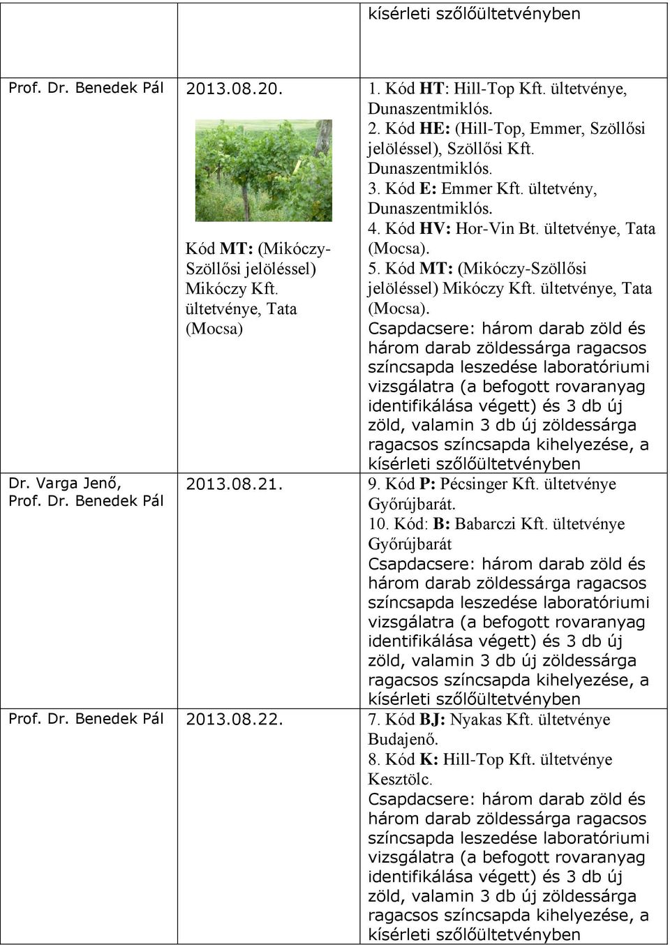 ültetvénye, Tata 5. Kód MT: (Mikóczy-Szöllősi jelöléssel) Mikóczy Kft. ültetvénye, Tata 213.8.21. 9. Kód P: Pécsinger Kft. ültetvénye Győrújbarát. 1.