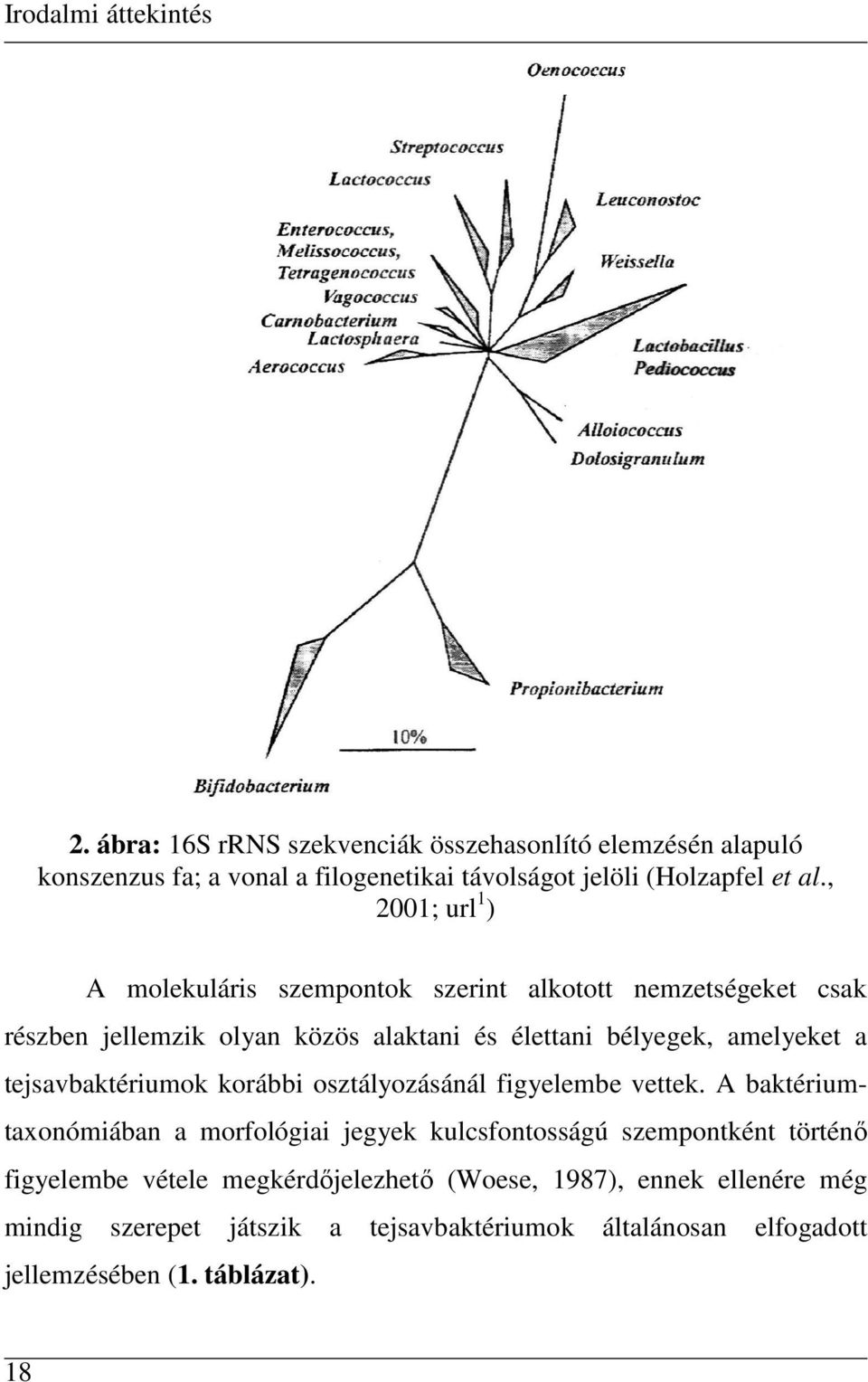 , 2001; url 1 ) A molekuláris szempontok szerint alkotott nemzetségeket csak részben jellemzik olyan közös alaktani és élettani bélyegek, amelyeket a