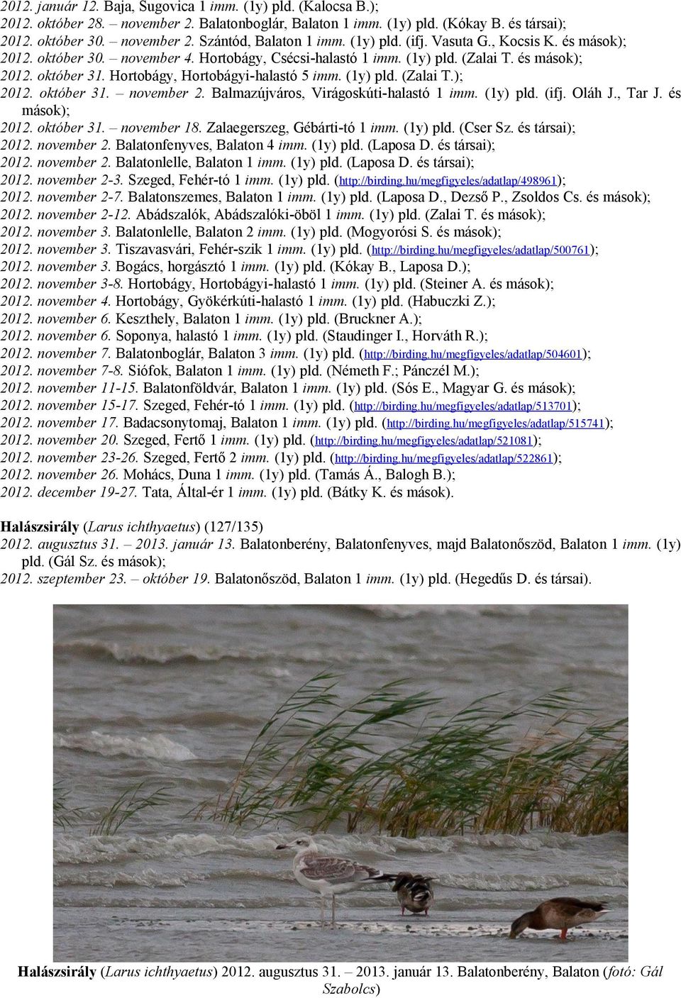 (1y) pld. (Zalai T.); 2012. október 31. november 2. Balmazújváros, Virágoskúti-halastó 1 imm. (1y) pld. (ifj. Oláh J., Tar J. és mások); 2012. október 31. november 18. Zalaegerszeg, Gébárti-tó 1 imm.