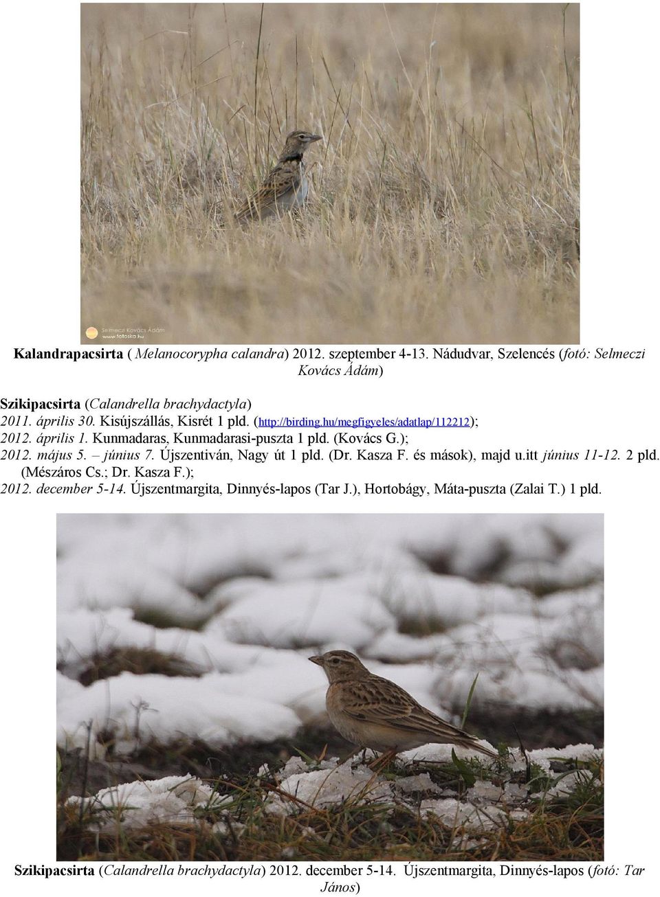 június 7. Újszentiván, Nagy út 1 pld. (Dr. Kasza F. és mások), majd u.itt június 11-12. 2 pld. (Mészáros Cs.; Dr. Kasza F.); 2012. december 5-14.