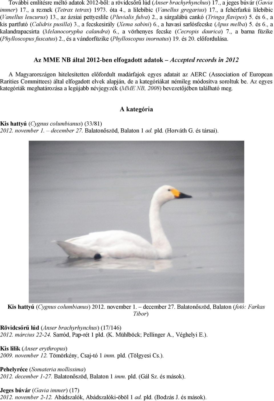, a fecskesirály (Xema sabini) 6., a havasi sarlósfecske (Apus melba) 5. és 6., a kalandrapacsirta (Melanocorypha calandra) 6., a vörhenyes fecske (Cecropis daurica) 7.