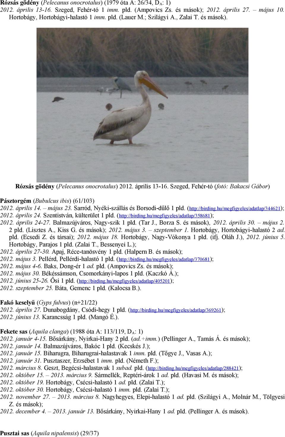 Szeged, Fehér-tó (fotó: Bakacsi Gábor) Pásztorgém (Bubulcus ibis) (61/103) 2012. április 14. május 23. Sarród, Nyéki-szállás és Borsodi-dűlő 1 pld. (http://birding.