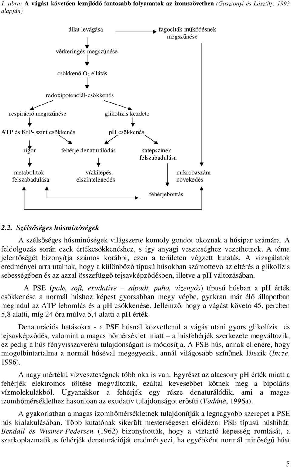 mikrobaszám felszabadulása elszíntelenedés növekedés fehérjebontás 2.2. Szélsőséges húsminőségek A szélsőséges húsminőségek világszerte komoly gondot okoznak a húsipar számára.