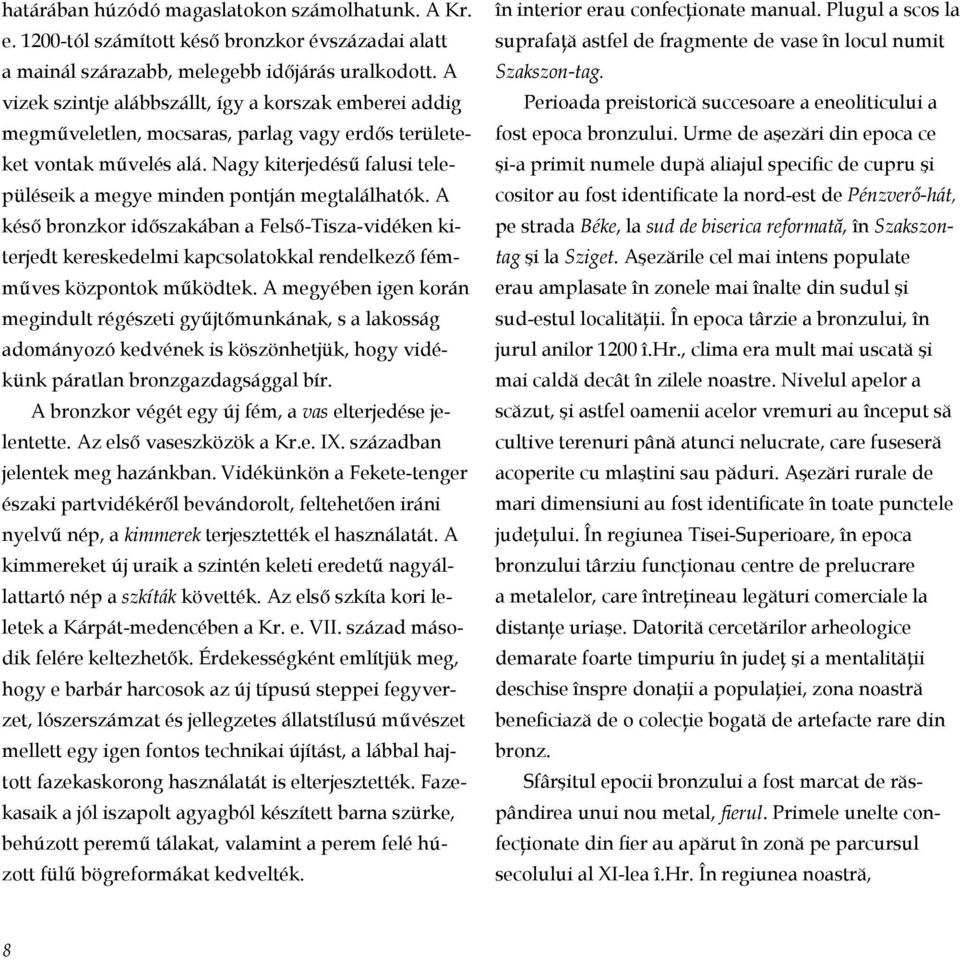 Nagy kiterjedésű falusi településeik a megye minden pontján megtalálhatók.