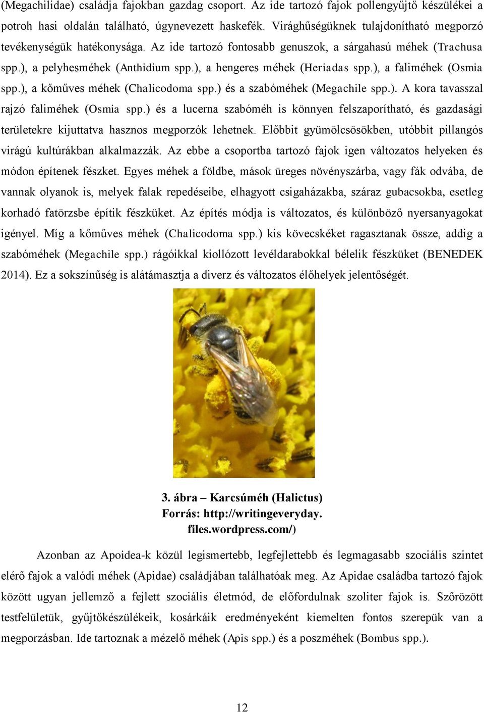 ), a hengeres méhek (Heriadas spp.), a faliméhek (Osmia spp.), a kőműves méhek (Chalicodoma spp.) és a szabóméhek (Megachile spp.). A kora tavasszal rajzó faliméhek (Osmia spp.