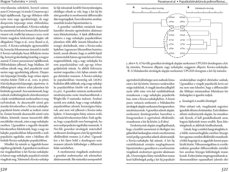 A Kovács-tarkalepke taxonómiai helyzete hosszú időn keresztül vitatott volt, önálló faji státusza a 2005 2006 között megjelent közlemények alapján vált elfogadottá (Varga et al., 2005; Russel et al.
