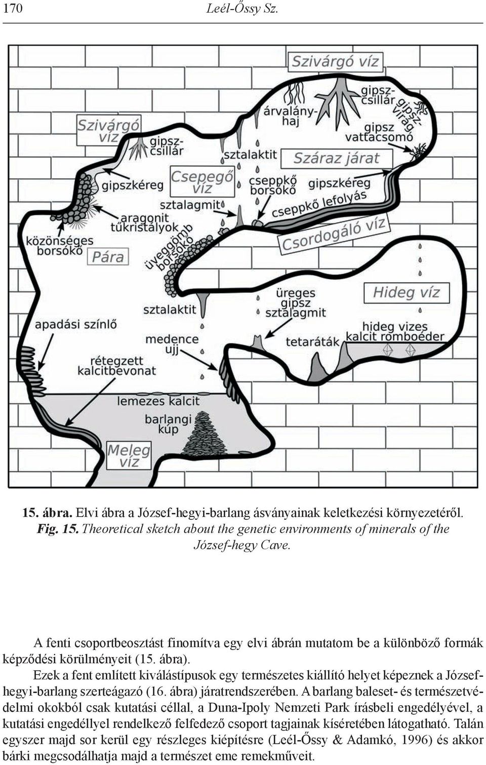 ezek a fent említett kiválástípusok egy természetes kiállító helyet képeznek a Józsefhegyi-barlang szerteágazó (16. ábra) járatrendszerében.