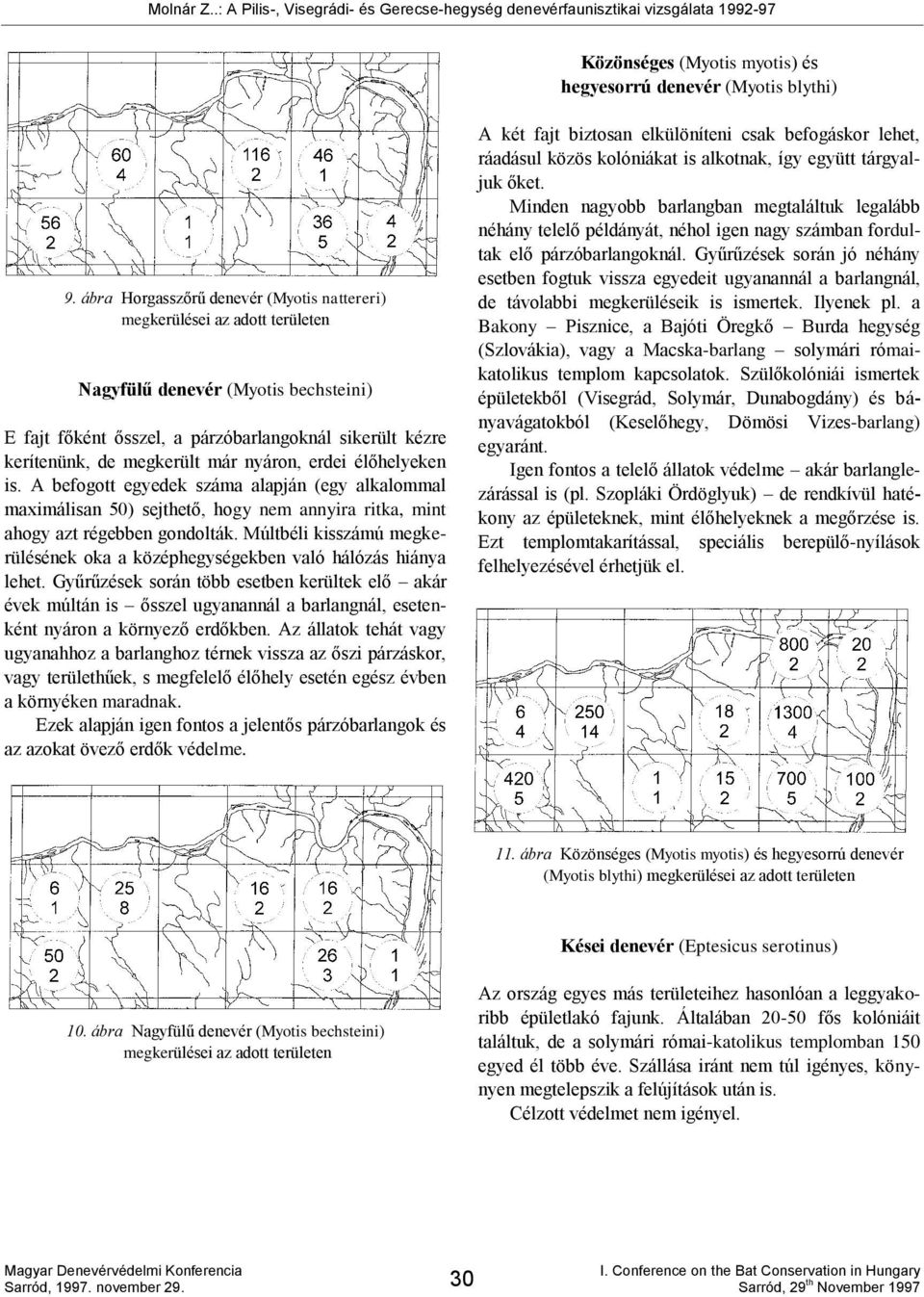 A befogott egyedek száma alapján (egy alkalommal maximálisan 50) sejthető, hogy nem annyira ritka, mint ahogy azt régebben gondolták.