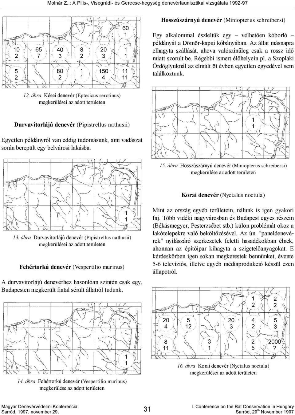 a Szopláki Ördöglyuknál az elmúlt öt évben egyetlen egyedével sem találkoztunk. 12.