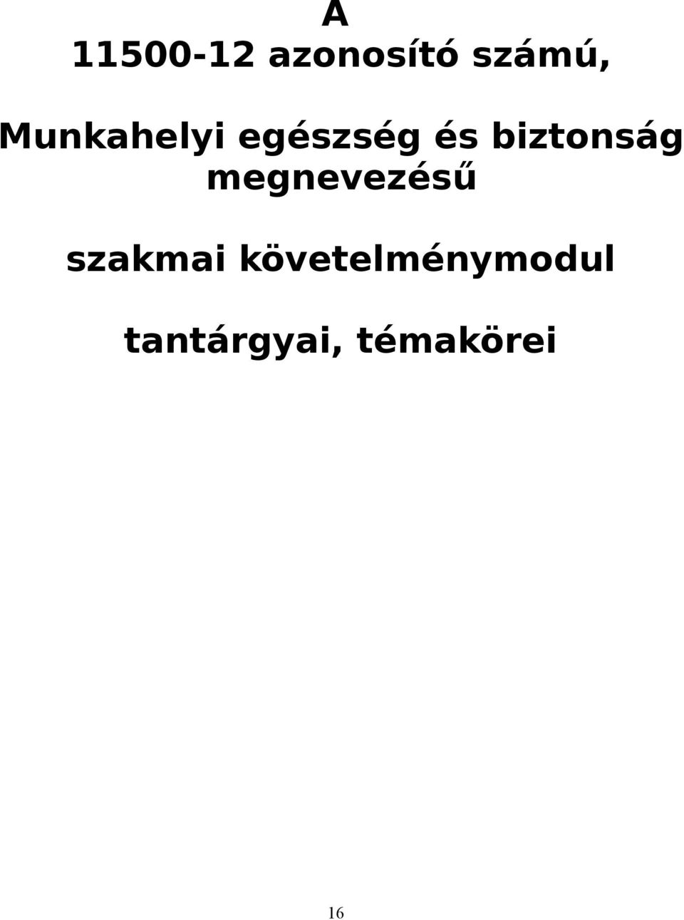 biztonság megnevezésű szakmai