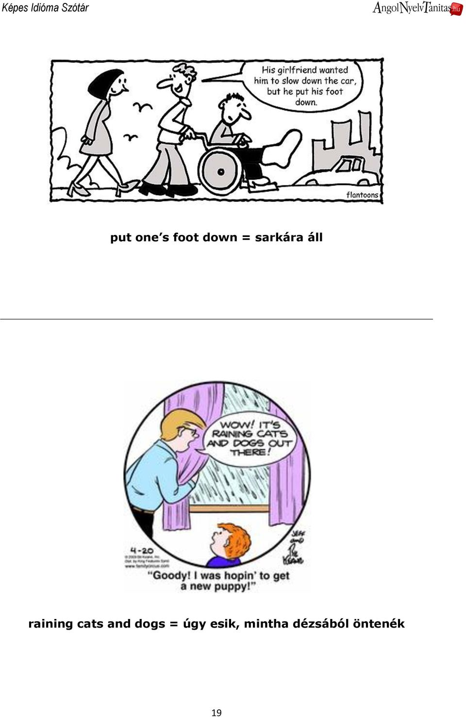 cats and dogs = úgy