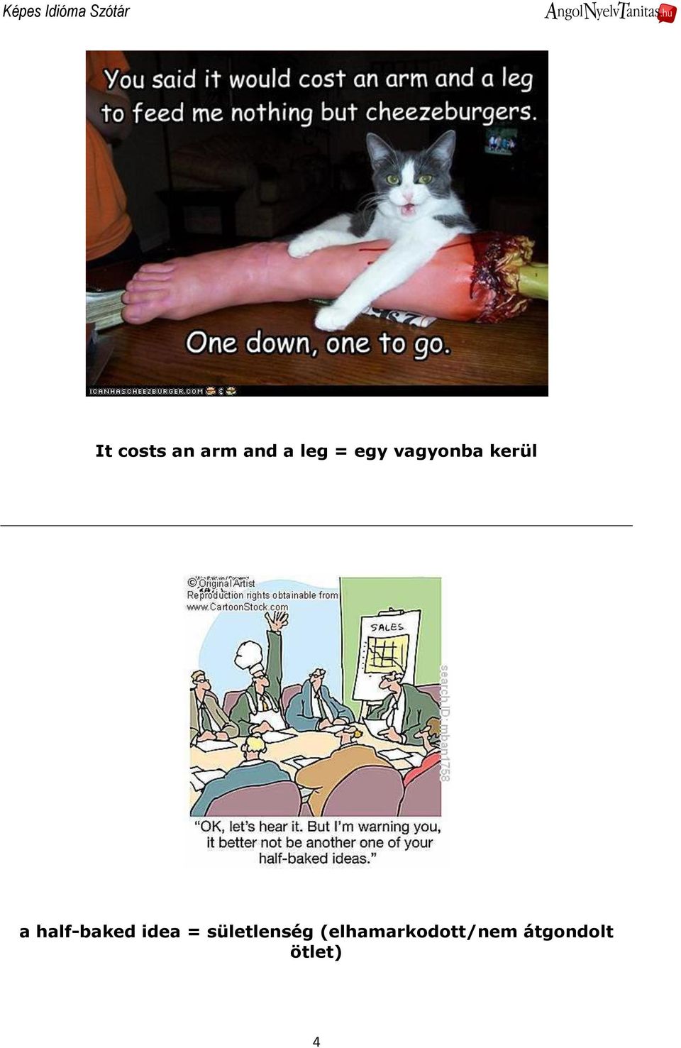 half-baked idea =