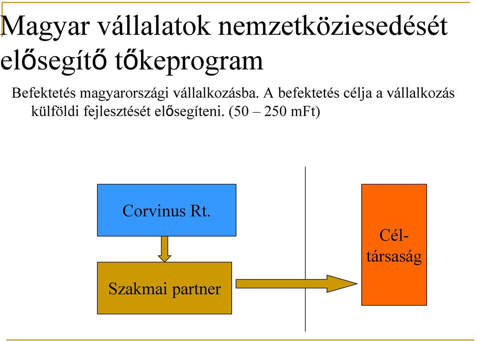 A befektetés célja a vállalkozás külföldi fejlesztését