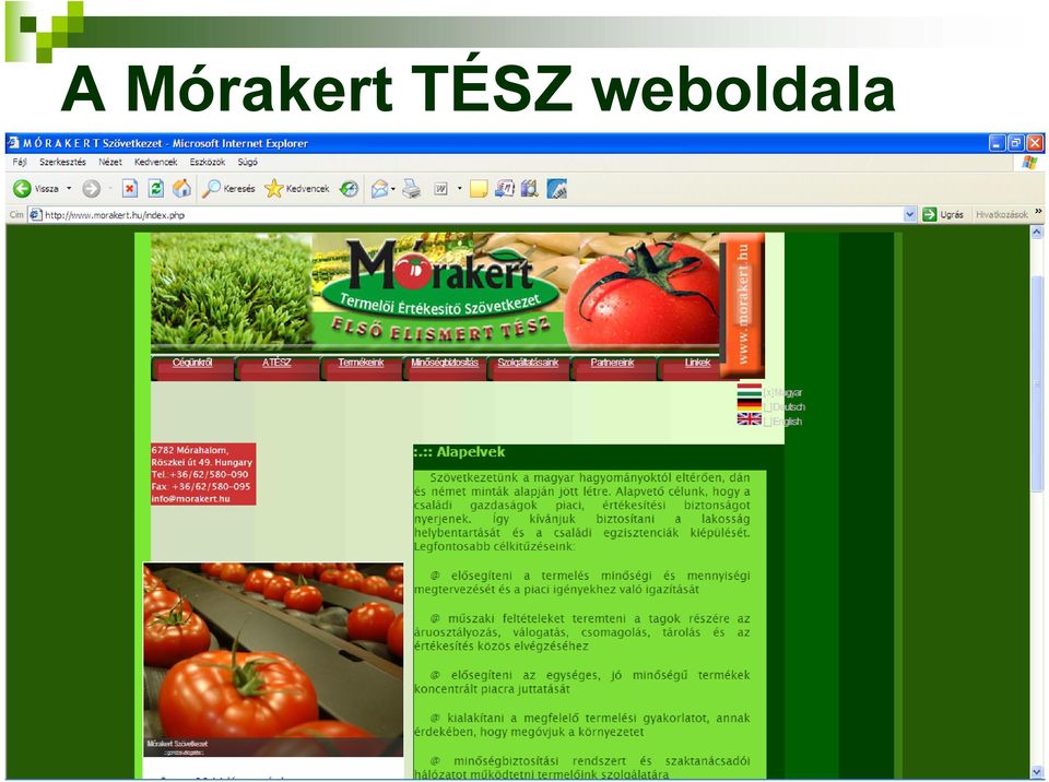 TÉSZ