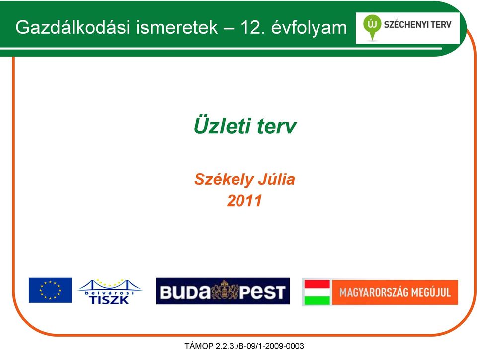 terv Székely Júlia 2011