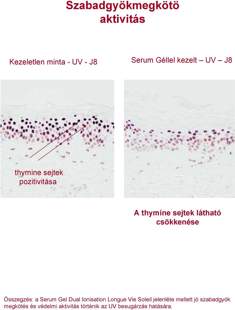 Összegzés: a Serum Gel Dual Ionisation Longue Vie Soleil jelenléte mellett